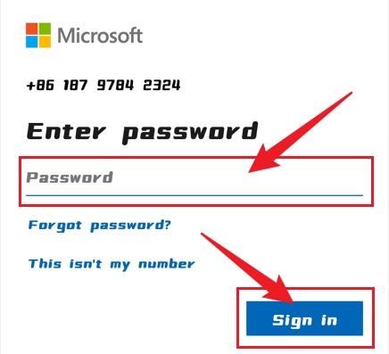 Enter your Microsoft password