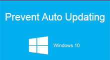 prevent Windows 10 from auto updating